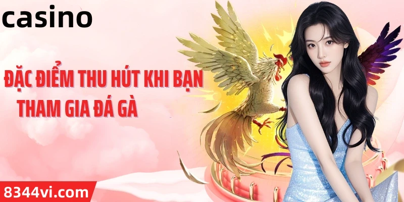 Hình ảnh quảng cáo của 123bii hiển thị nền tảng và các lợi ích