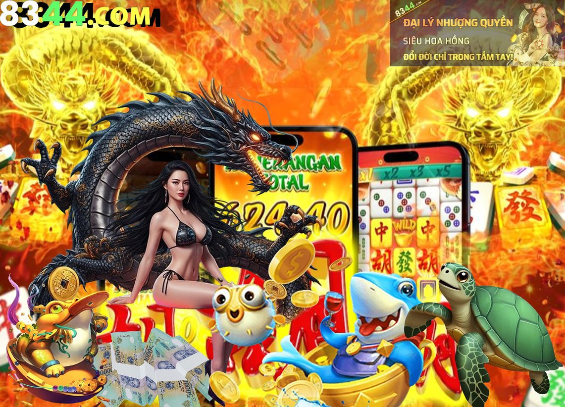 Hình ảnh quảng cáo của 123bii hiển thị nền tảng và các lợi ích