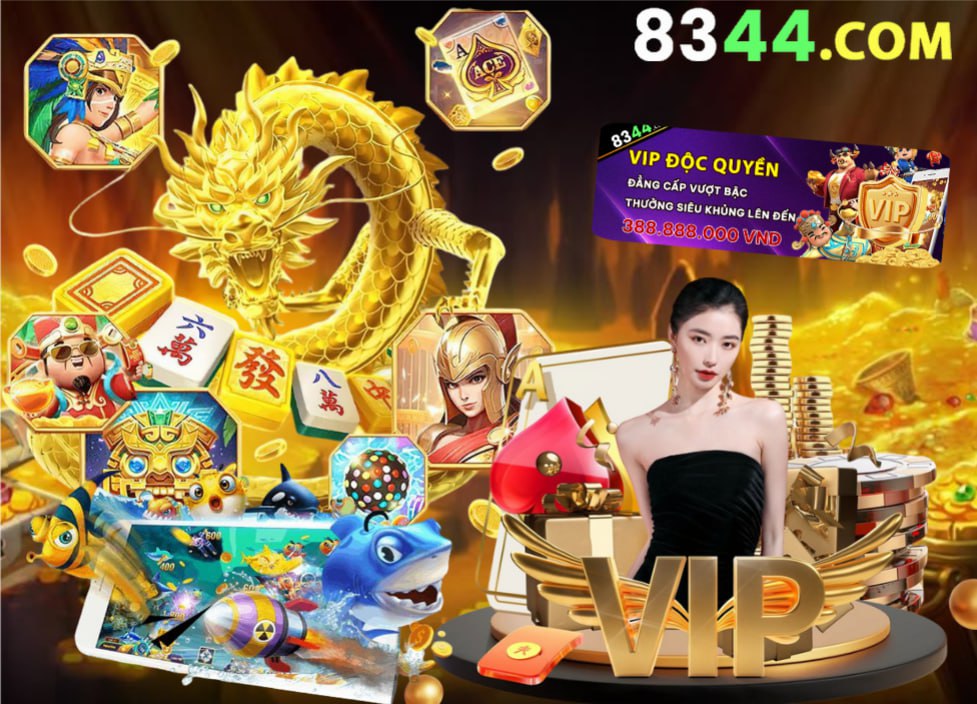 Hình ảnh quảng cáo của 123bii hiển thị nền tảng và các lợi ích